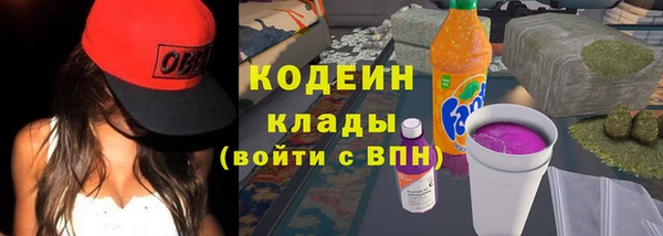 крисы Лабытнанги