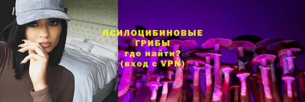 мет Лагань
