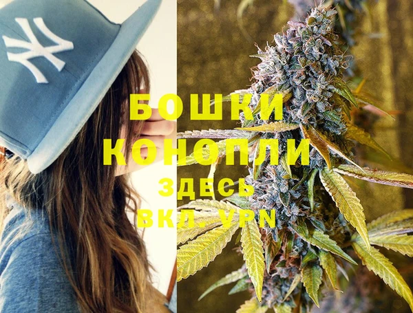крисы Лабытнанги
