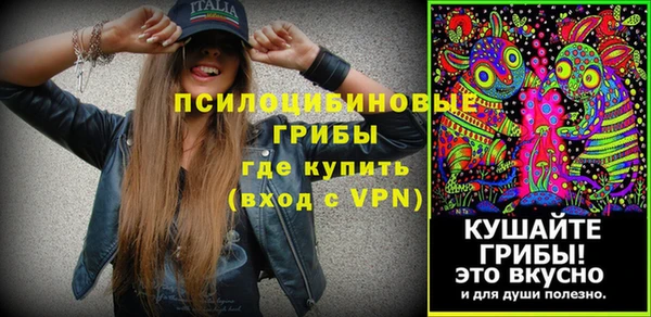 МДПВ Лихославль