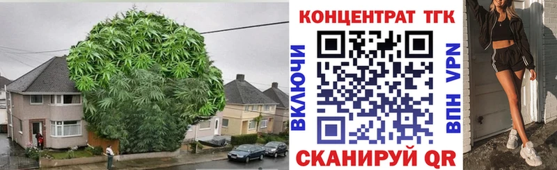 Дистиллят ТГК гашишное масло OMG как зайти Нелидово